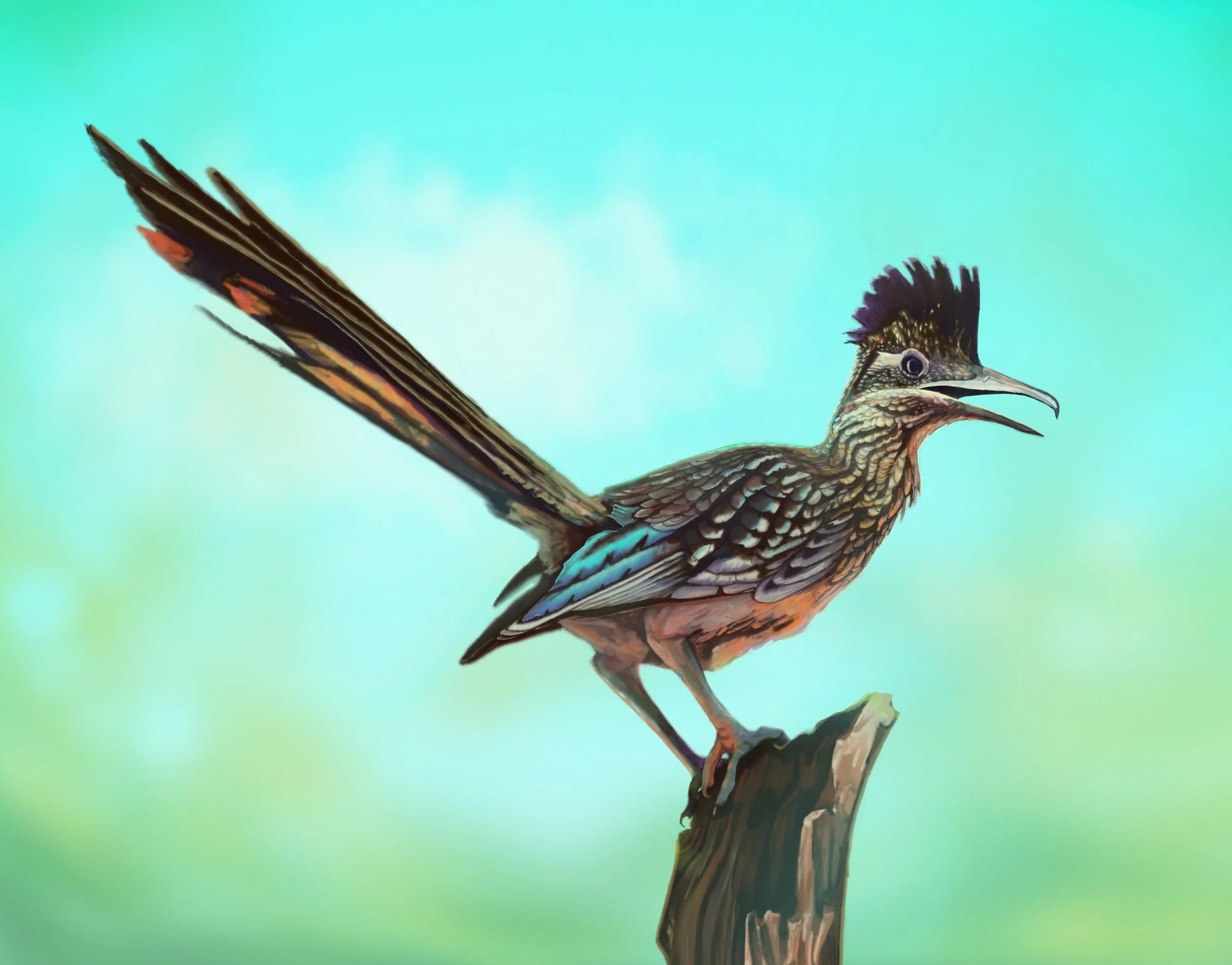 Colorful illustration of a bird with a crest on its head, perched on a branch, with a vibrant background.