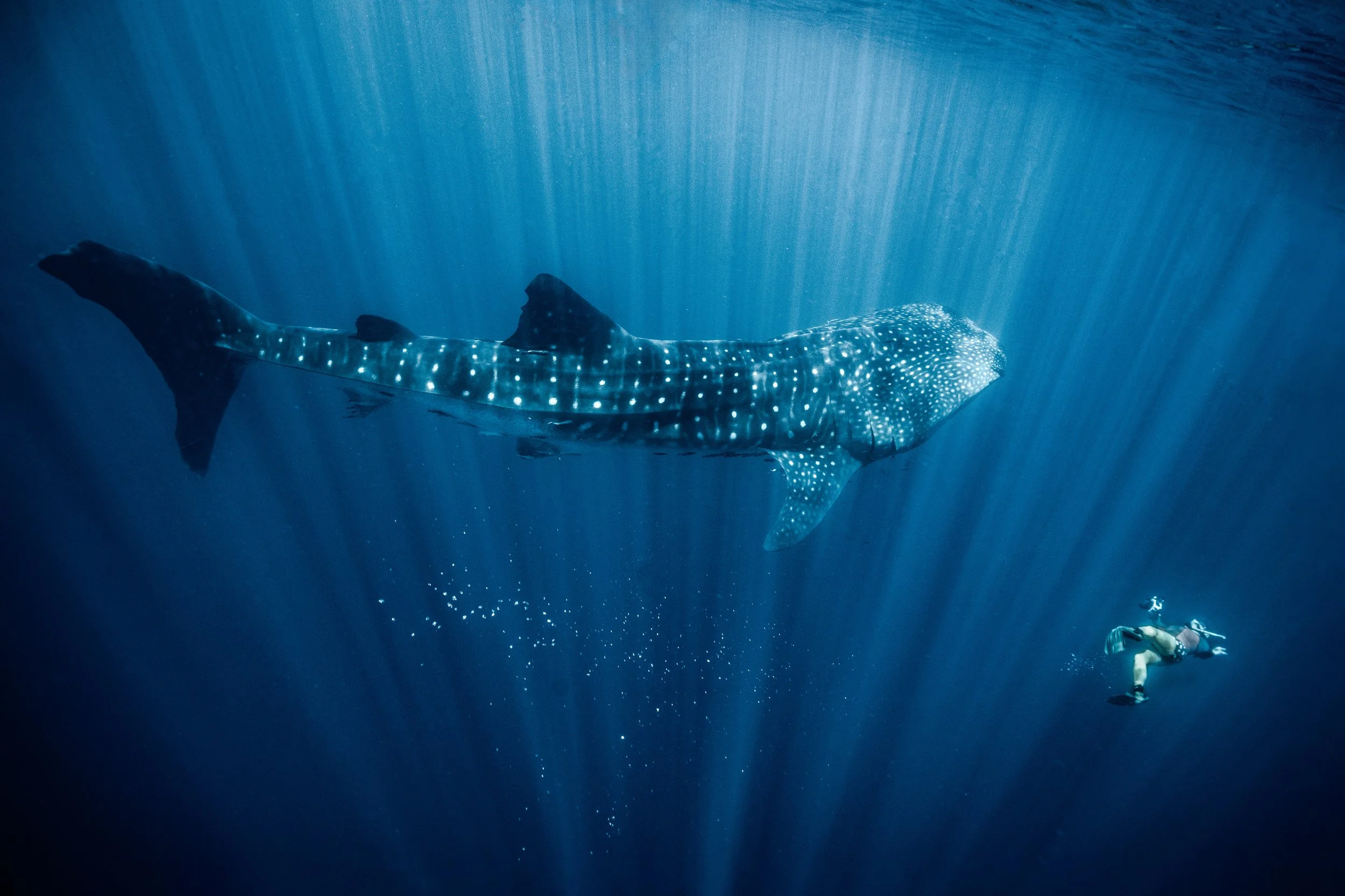 Vic_no watermark.jpg