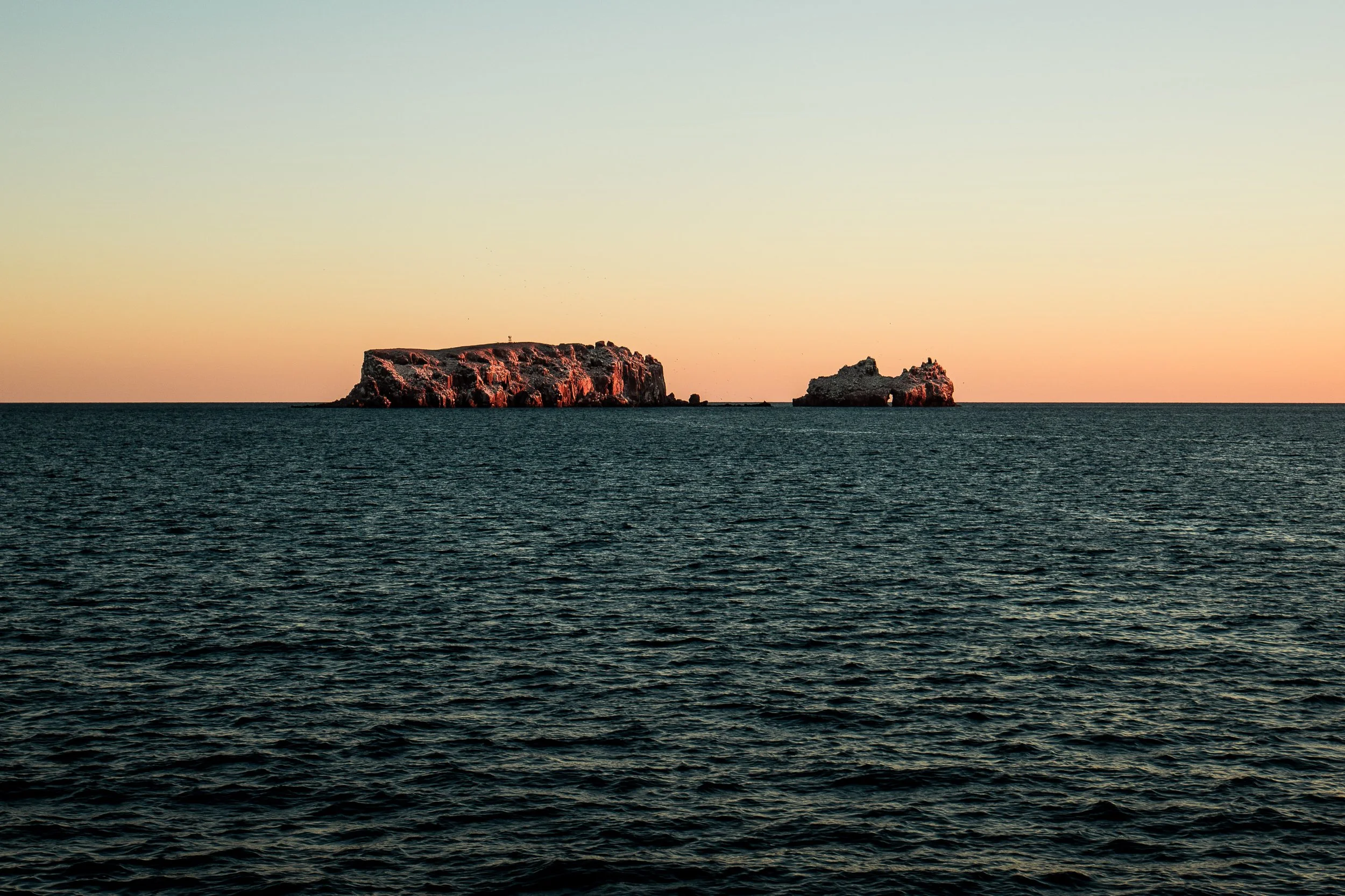 _DSC3539.jpg
