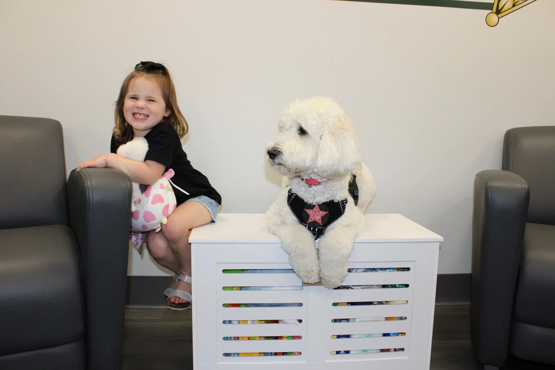 A young girl with a big smile sitting on a gray chair and hugging a white plush toy, next to a large white dog wearing a black harness with a pink star on it, sitting on a white table against a plain white wall.