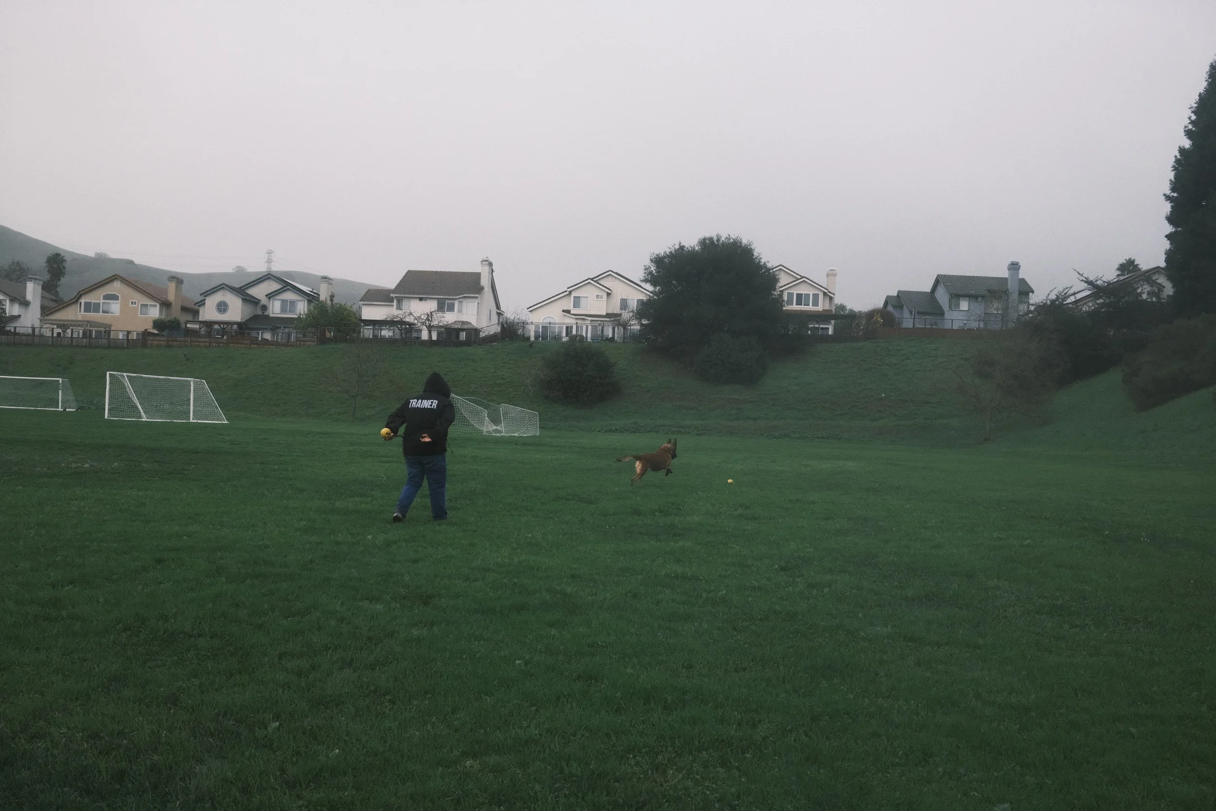 _DSF0576 2.JPG