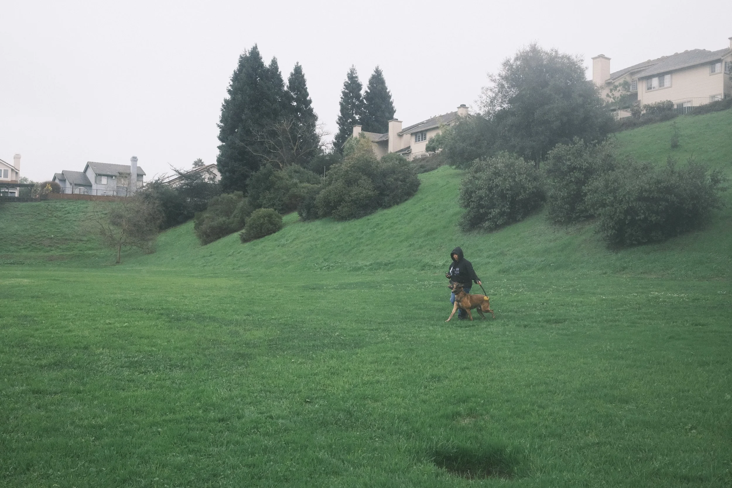 _DSF0584 2.JPG