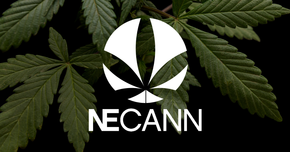 Necann Boston Convention | New England | Apr 24-25