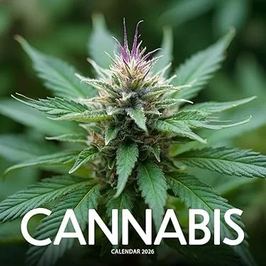 The Cannabis Calendar of 2026: Inside the High Season