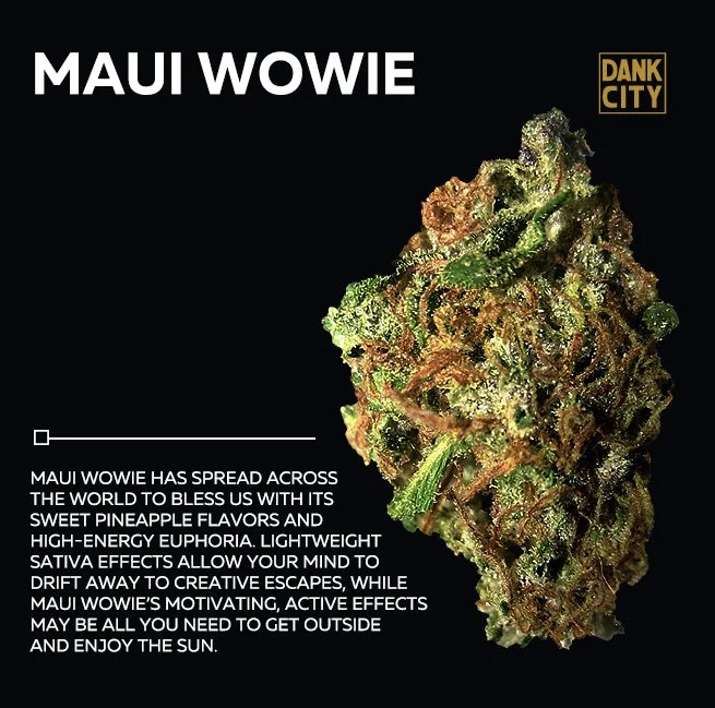 Everything you Need to Know About Maui Wowie