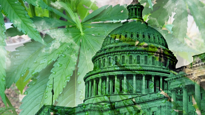 Cannabis Rescheduling May Sound Like a Win. Here’s Why It’s Complicated