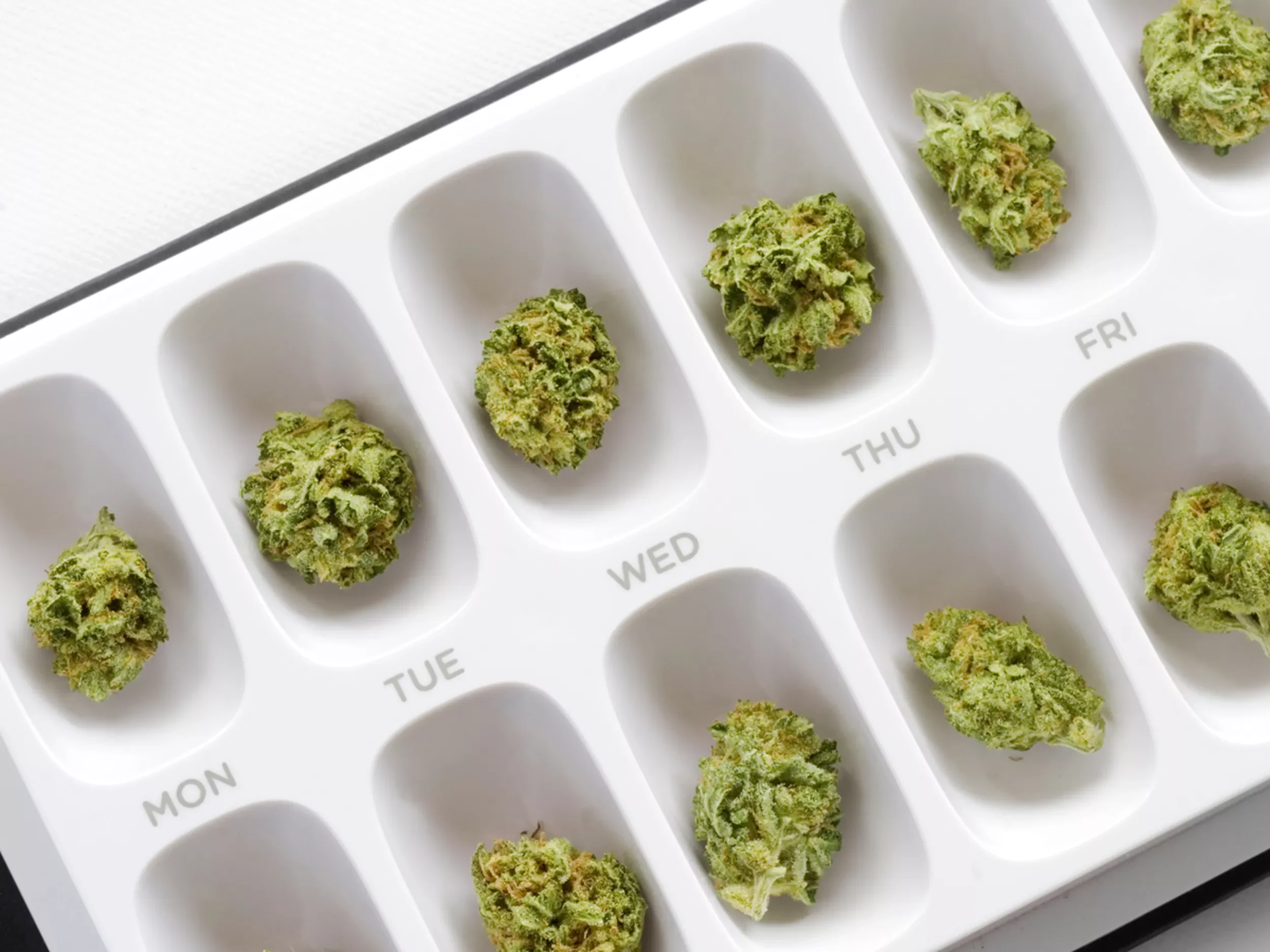 Cannabis Microdosing 101: Your 2025-2026 Back‑to‑Work Focus Guide