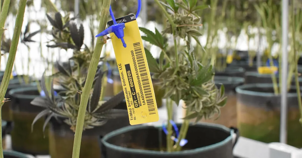 METRC Is Failing New York’s Cannabis Industry From Top to Bottom