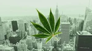 New York Approves 38 New Adult-Use Cannabis Licenses