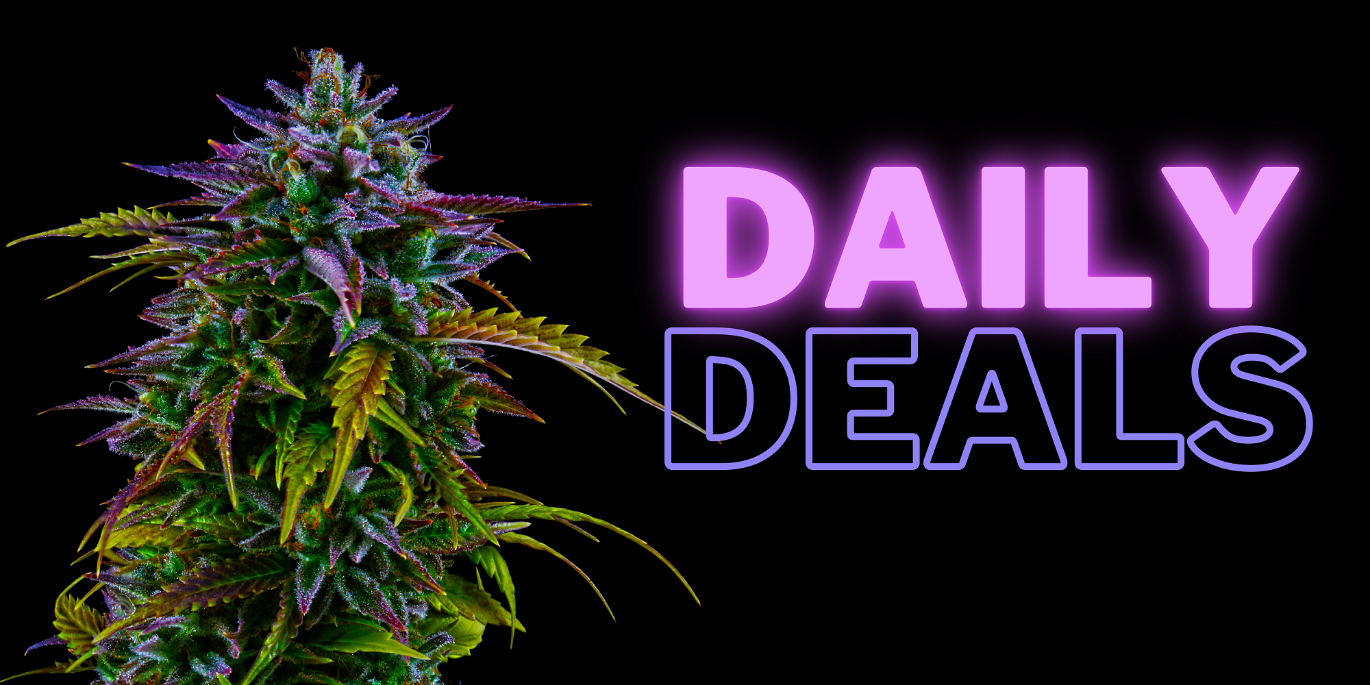 New York cannabis shops can offer discounts under new rules