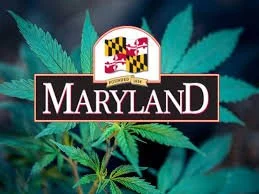 Maryland Tightens Cannabis Agent Registration and Criminal History Requirements in 2026 Guidance