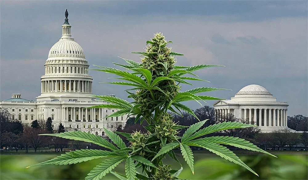 House Passes Bill To Keep Blocking Washington, D.C. From Legalizing Marijuana Sales