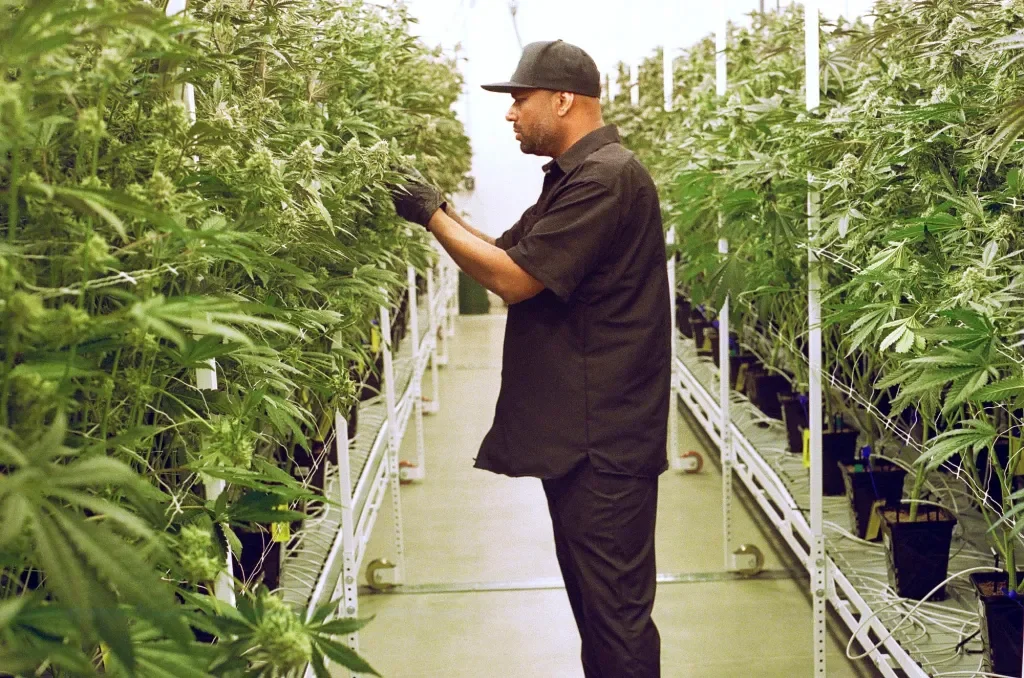 2025 in Review -- a year of continued growth &amp; equity at NJ-CRC