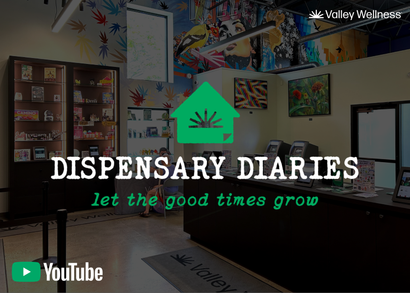 Valley Wellness Launches "Dispensary Diaries" YouTube Series on Building a Cannabis Business in New Jersey