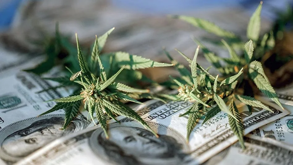 Our Market's Not Fully Rolled Out': Delaware Retail Weed Sales Fall Far Short of Estimates