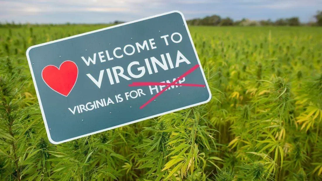 Hemp company owners: No rec, no hemp. How Virginia broke its own cannabis market