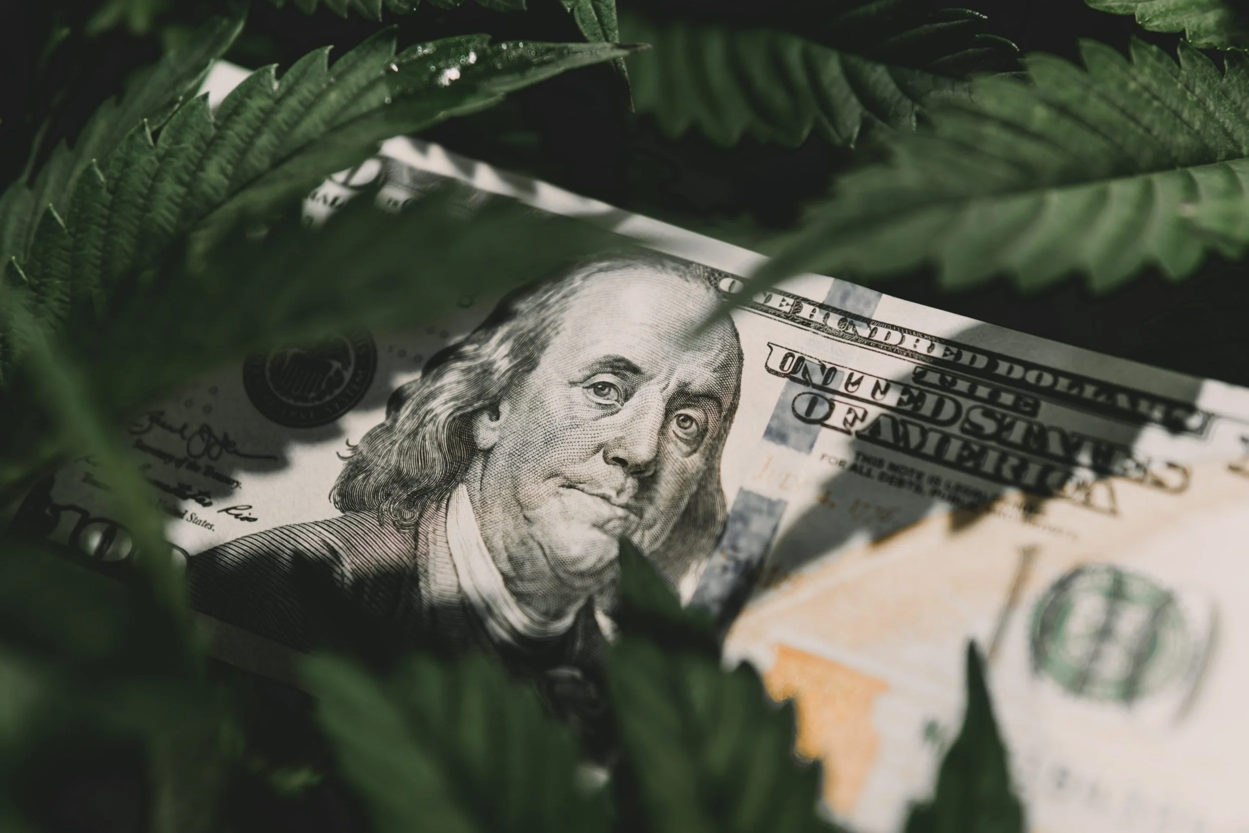 Feds Announce Marijuana Industry Tax Guidance Is Coming As Rescheduling Takes Effect