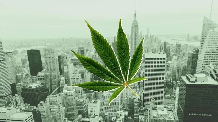 New York legalizes cannabis sales at farmers’ markets, pop-up events