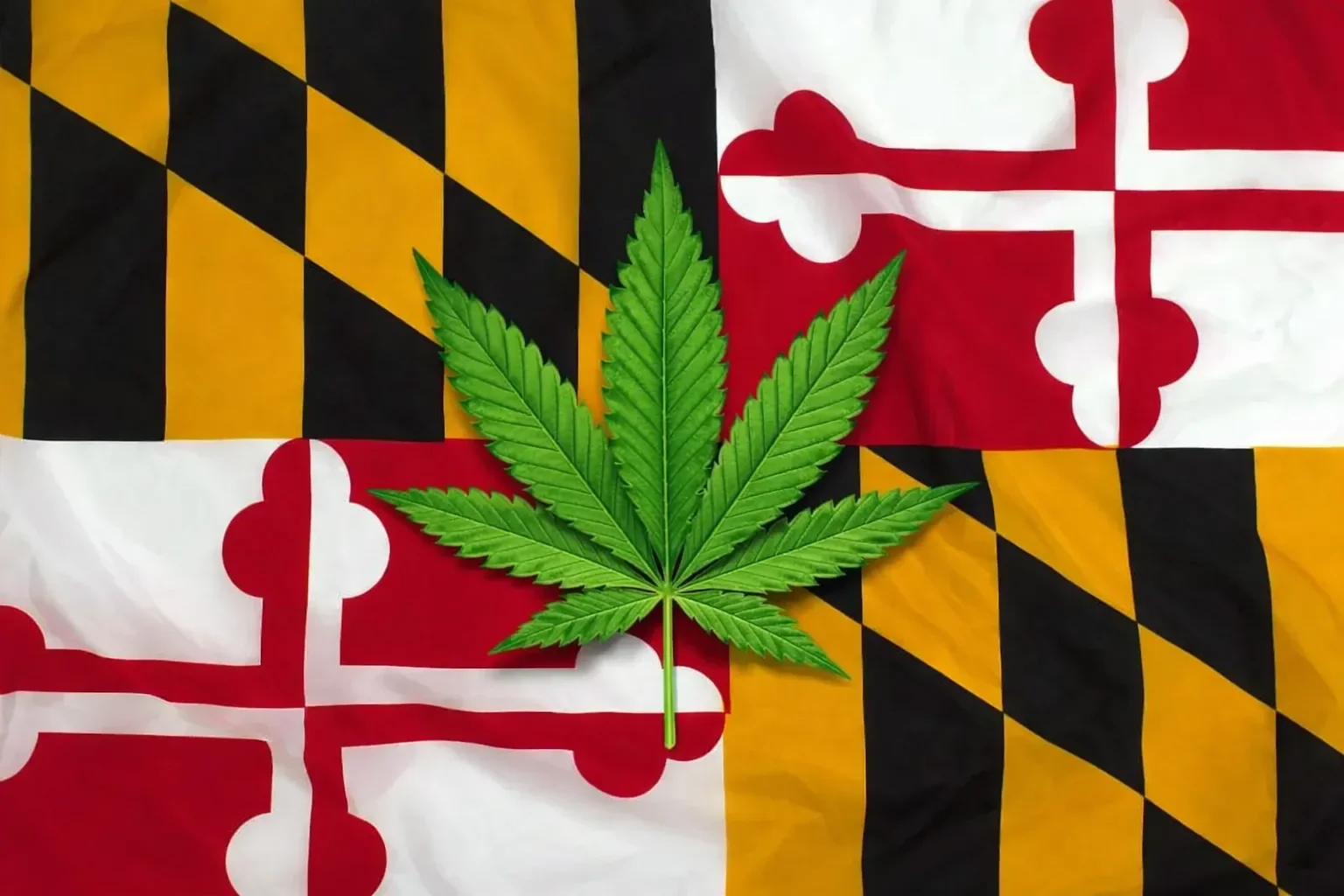 Maryland Adopts New Marijuana Rules Allowing THC Sublingual Pouches, Licensing Extensions
