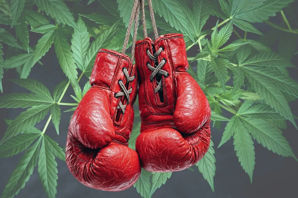 Boxing And Combat Sports Officials Consider Marijuana Breathalyzer Device For Fighters