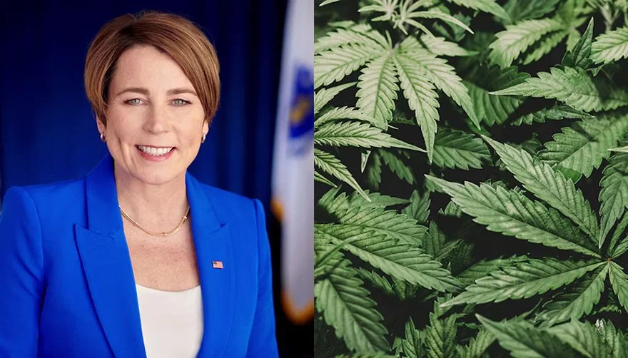 Massachusetts Governor Urges 'No' Vote on Cannabis Prohibition Measure