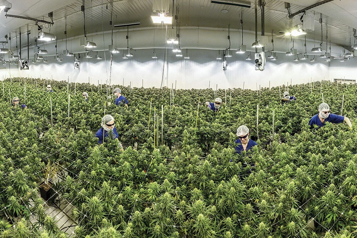 Maryland Cannabis Administration Plans Market Study on Schedule III, 280E Relief, Interstate Marijuana Trade and More