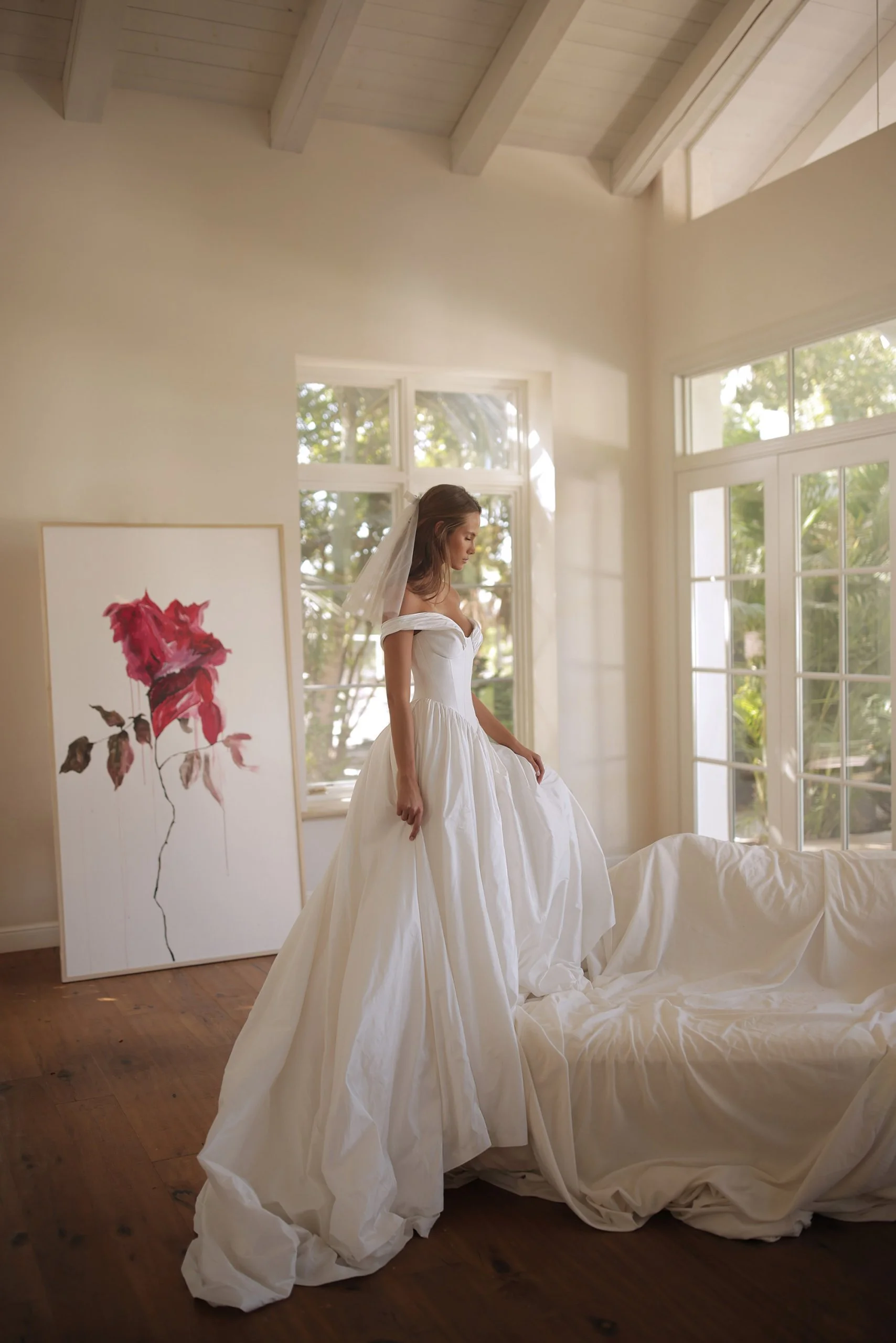 Amaryllis
