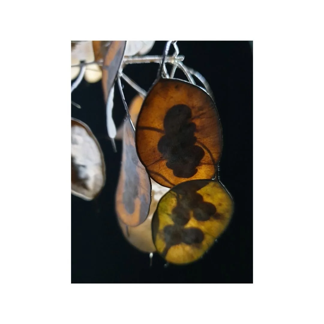 wie zaait zal oogsten 1 | fotoprint op fine art paper | 2024 | 12 x 16 cm