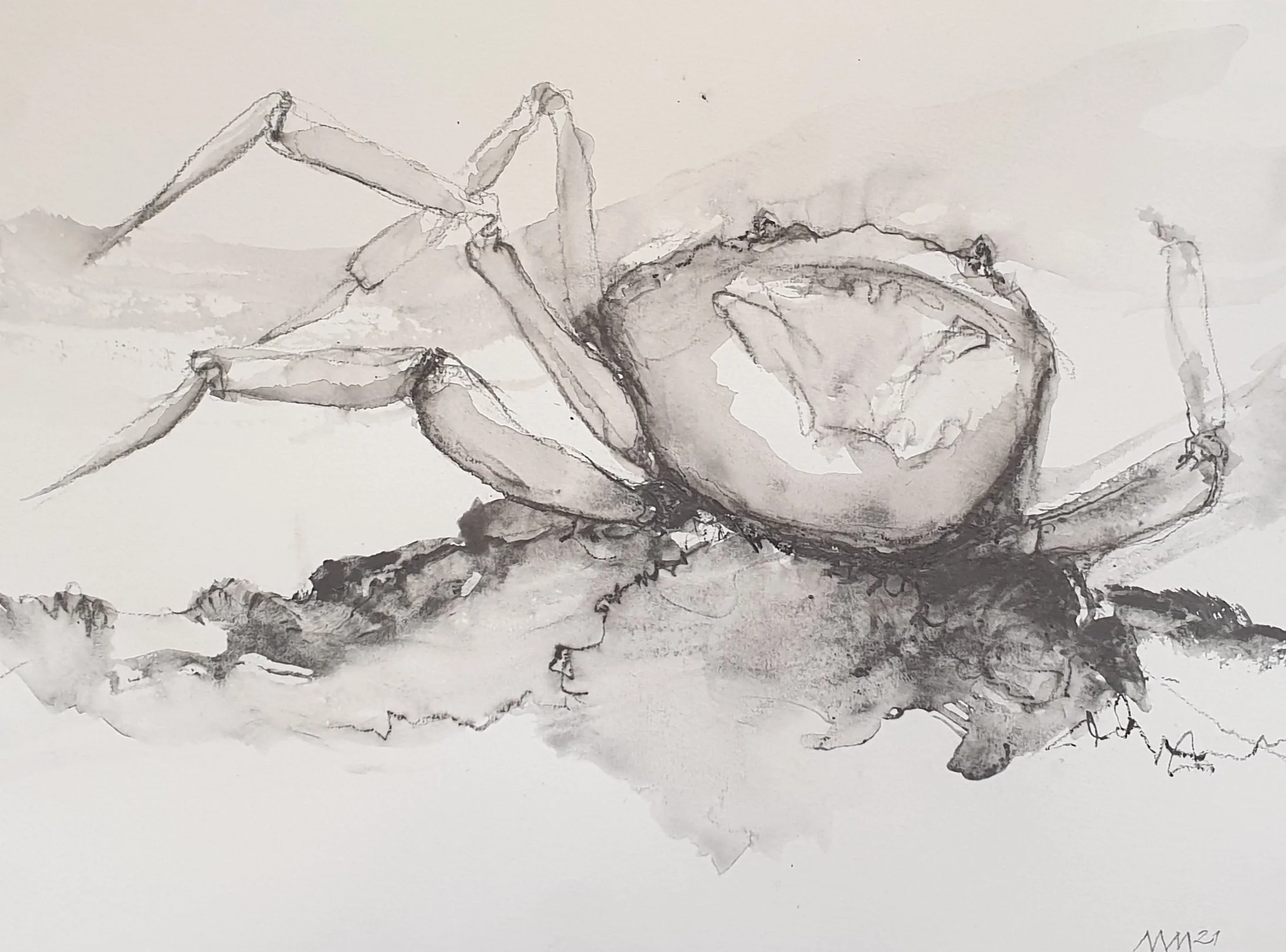 Aquatilibus III - serie 3 | gemengde techniek op papier | 2021 | 40x30 cm