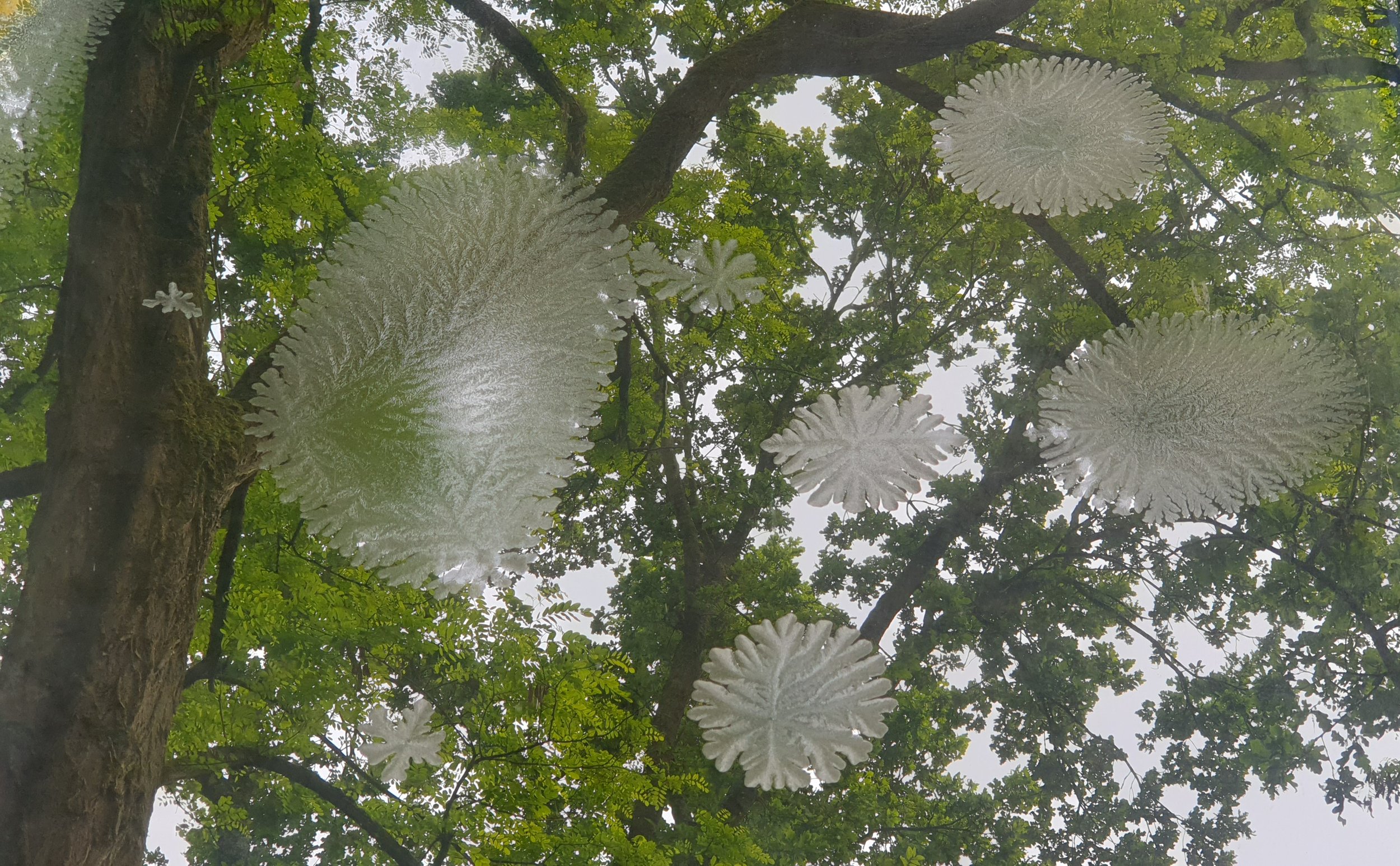 20230522_161402 bijgesneden.jpg