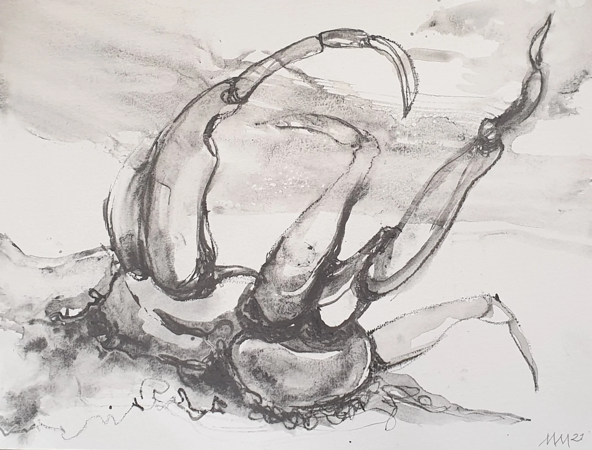 Aquatilibus I - serie 1 | gemengde techniek op papier | 2021 | 32,5x25 cm