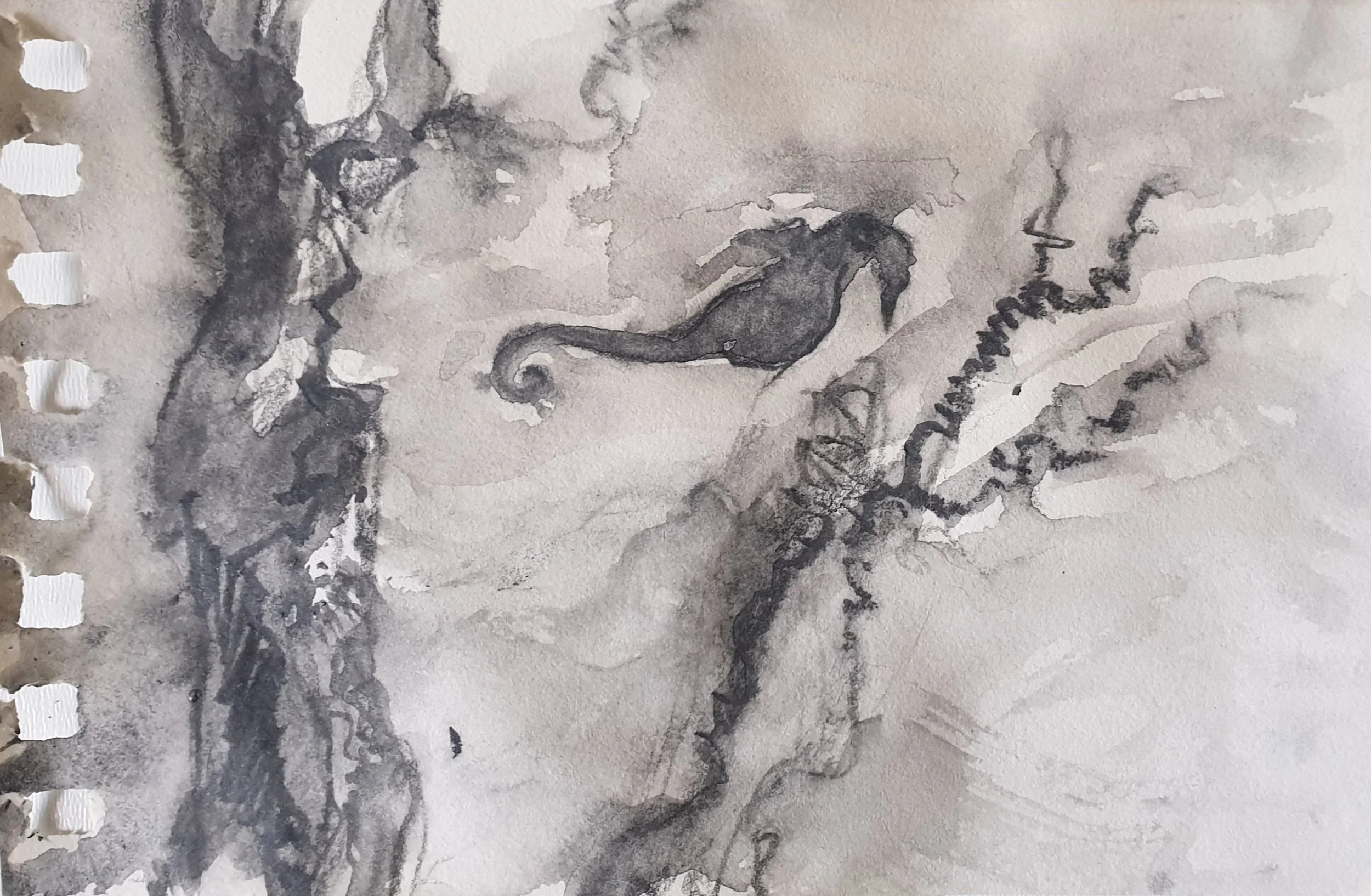 Aquatilibus XIII | grafiet en aquarel op papier | 2023 | 16,5x11 cm