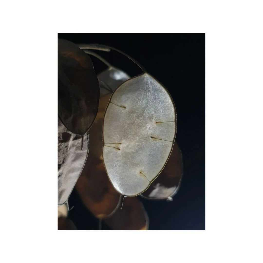 wie zaait zal oogsten | fotoprint op fine art paper | 2024 | 12 x 16 cm