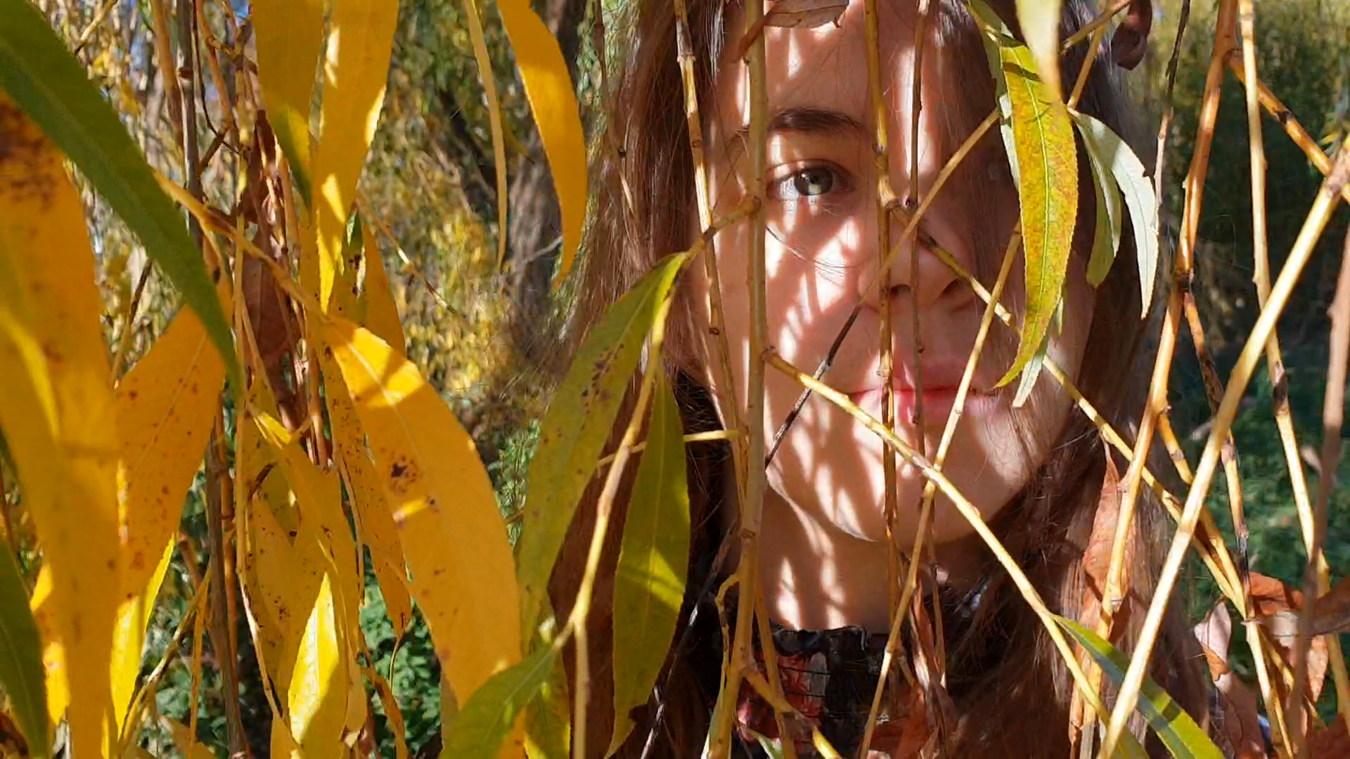 Treurwilg | [still] | video | 2018 | 00:03:05