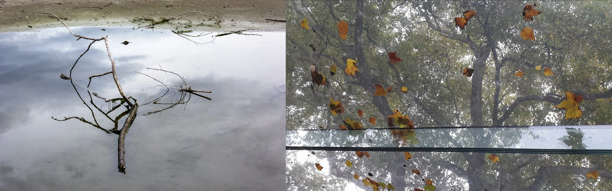 dubbelbeeld 5 | 2023 |   MM | doorzicht | 2022