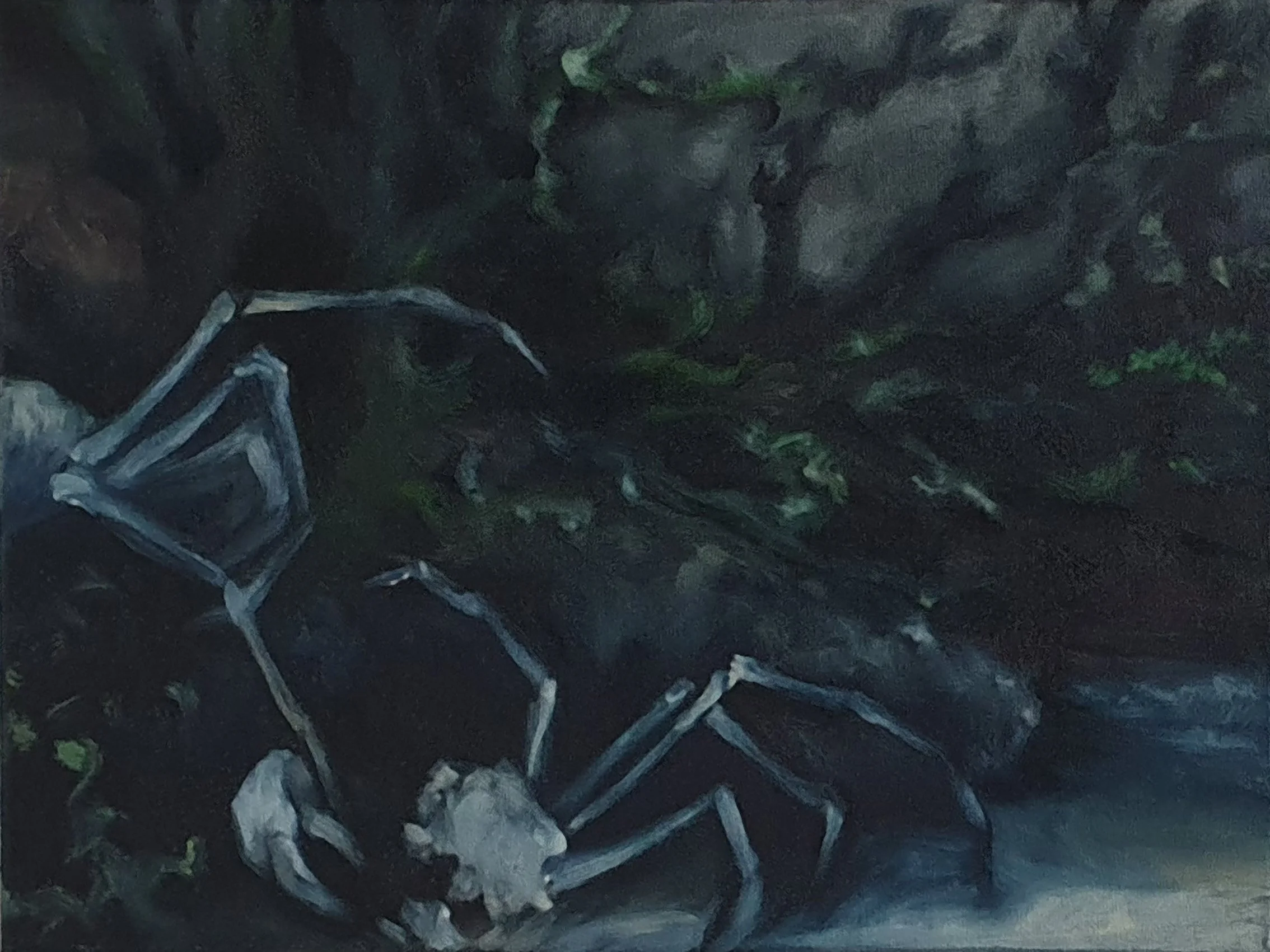 Aquatilibus V | olieverf op linnen | 2023 | 40x30 cm