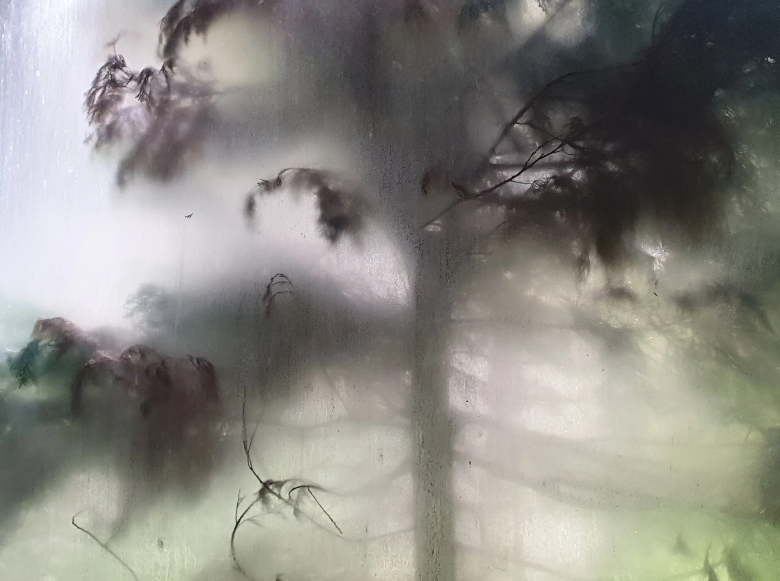 20240527_120123 cut 4bij3.jpg