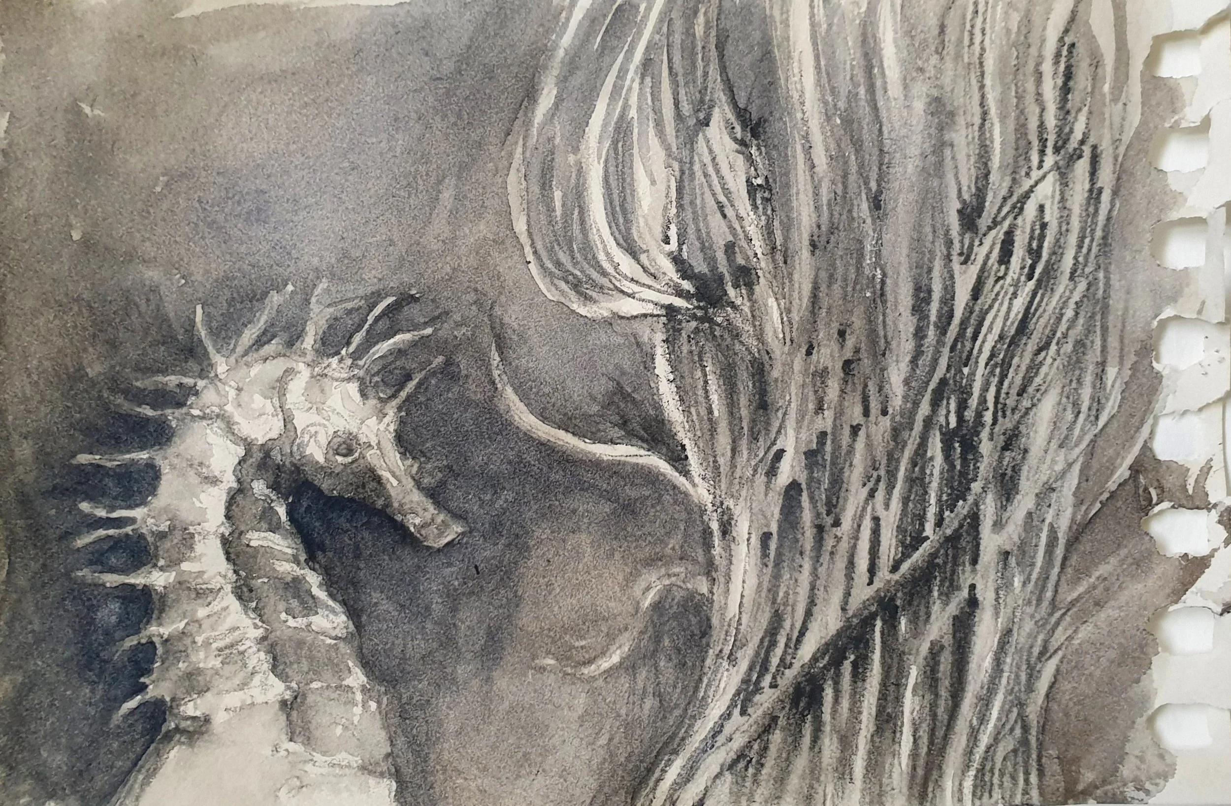 Aquatilibus VII | grafiet en aquarel op papier | 2023 | 16,5x11 cm