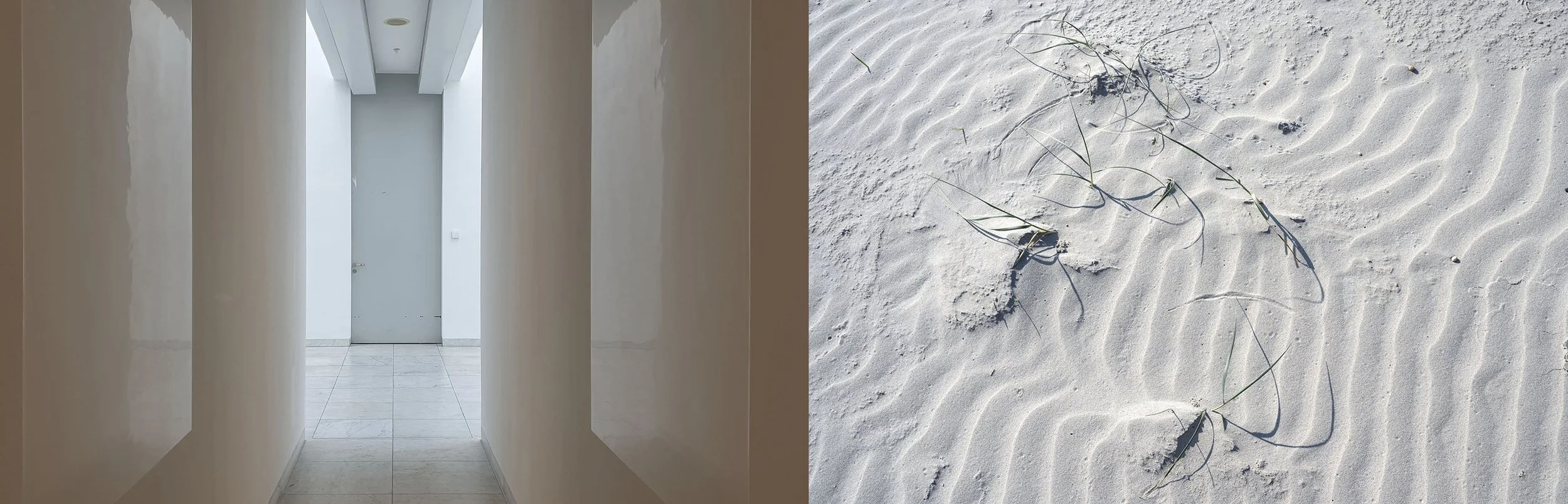 dubbelbeeld nr 7 | 2025 |   NH | helmgras strand schiermonnikoog | 2024