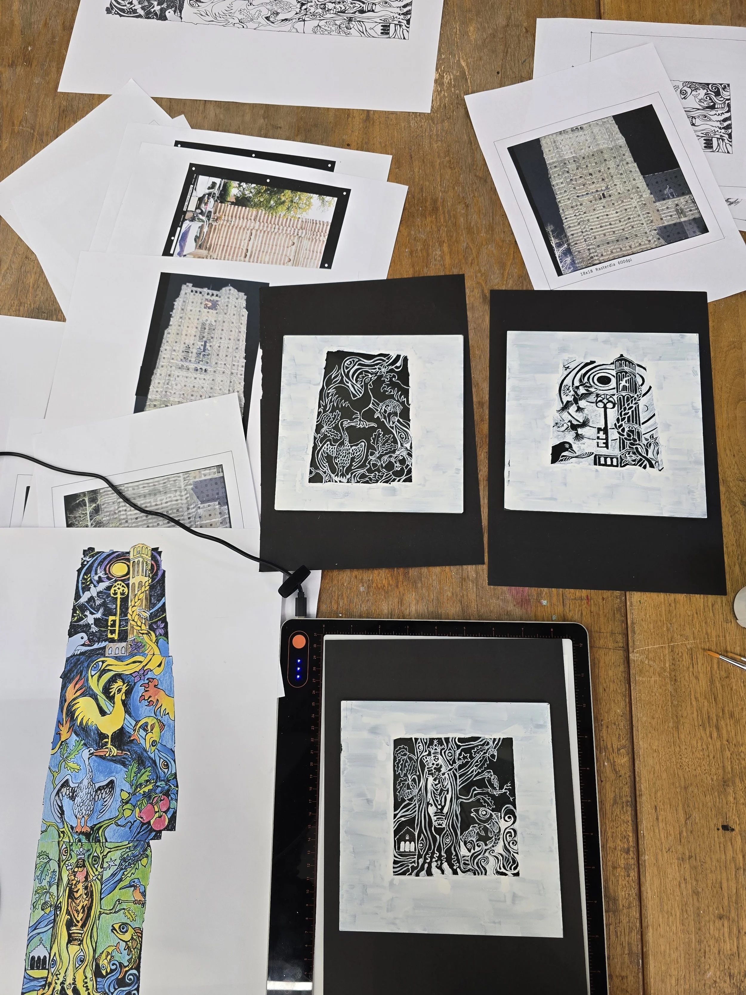 diverse stadia van het proces