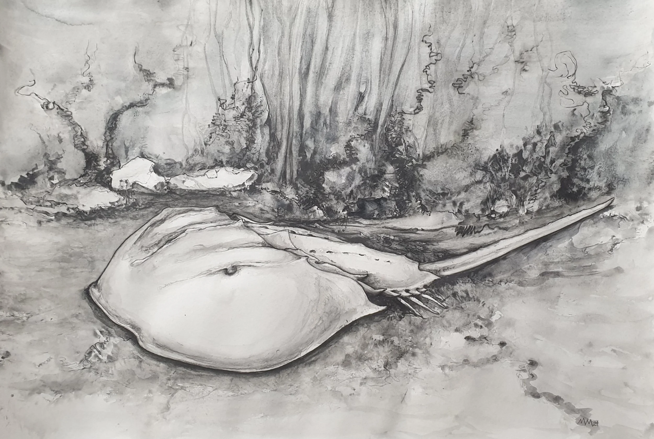 Aquatilibus - degenkrab [ Limultidae]  | gemengde techniek op papier | 2024 | 100x70 cm