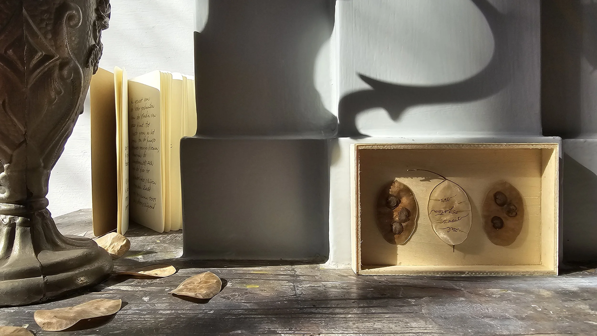 wie zaait zal oogsten [detail] | installatie | 2024