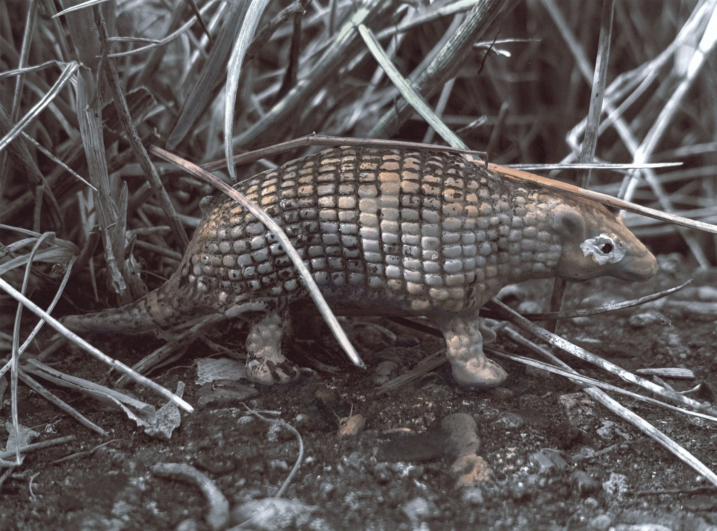 Made in China x  Aquatilibus - Dasypus | gemengde techniek | 2024 |  28x21 cm