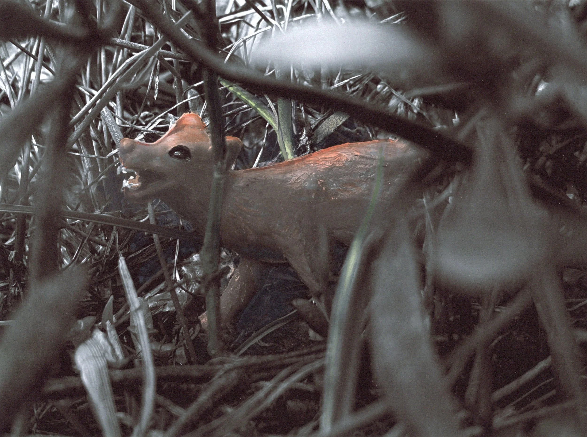 Made in China x  Aquatilibus - Canus Vulpus | gemengde techniek | 2024 |  28x21 cm