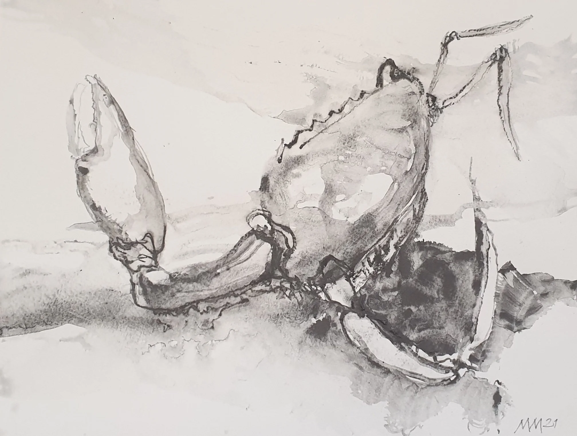 Aquatilibus II - serie 3 | gemengde techniek op papier | 2021 | 32,5x25 cm