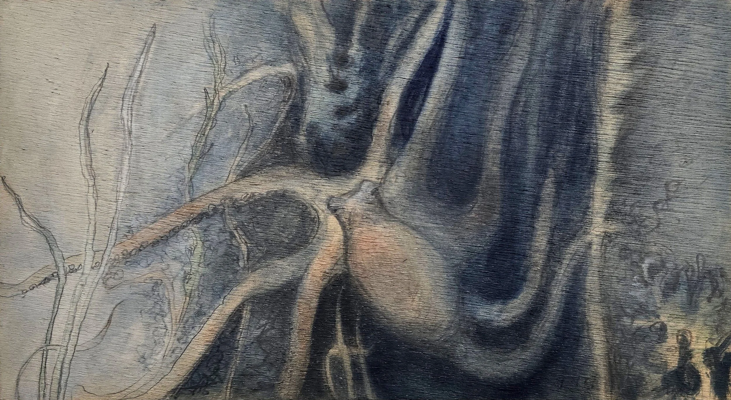 Aquatilibus - octopus III | gemengde techniek op paneel | 2025 | 31x17 cm