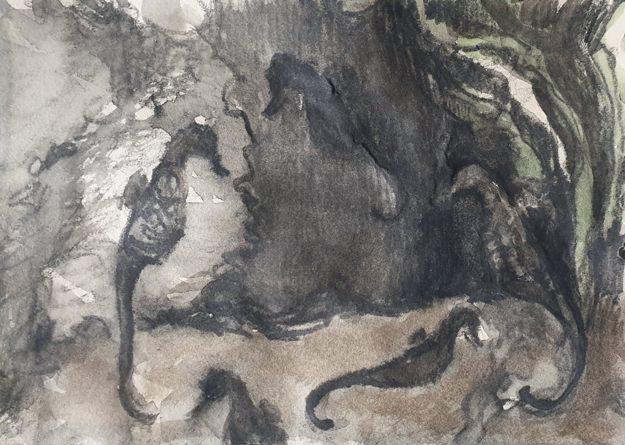 Aquatilibus XII | grafiet en aquarel op papier | | 2023 | 16,5 x 11 cm