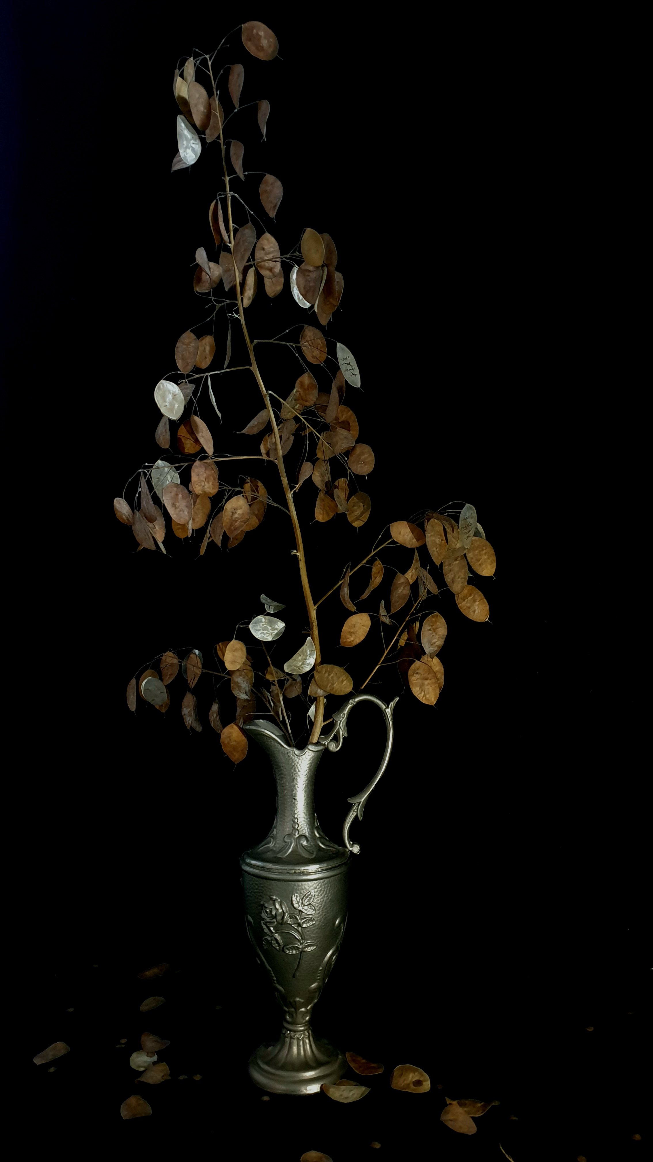 wie zaait zal oogsten | fotoprint op fine art papier |  60x90 cm