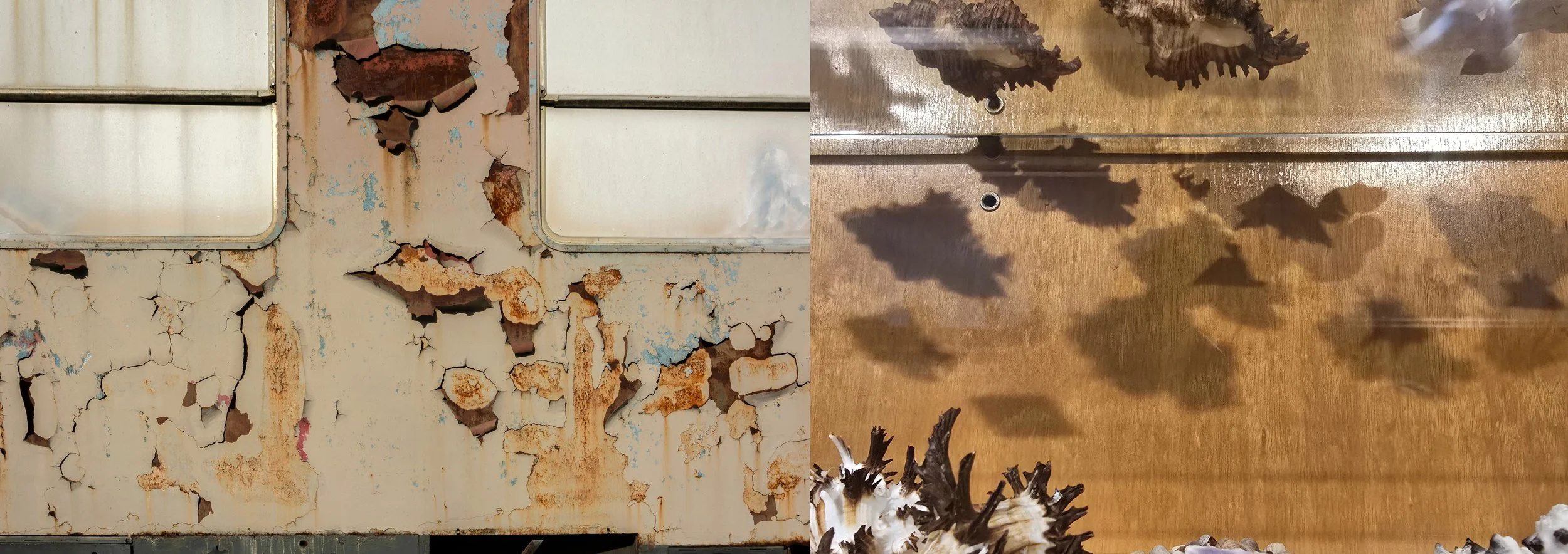 dubbelbeeld 8 | 2026 |   MM | [ The Accused [detail] | Mark Dion | 2020 | Verbeke Foundation (BE)] | 2025