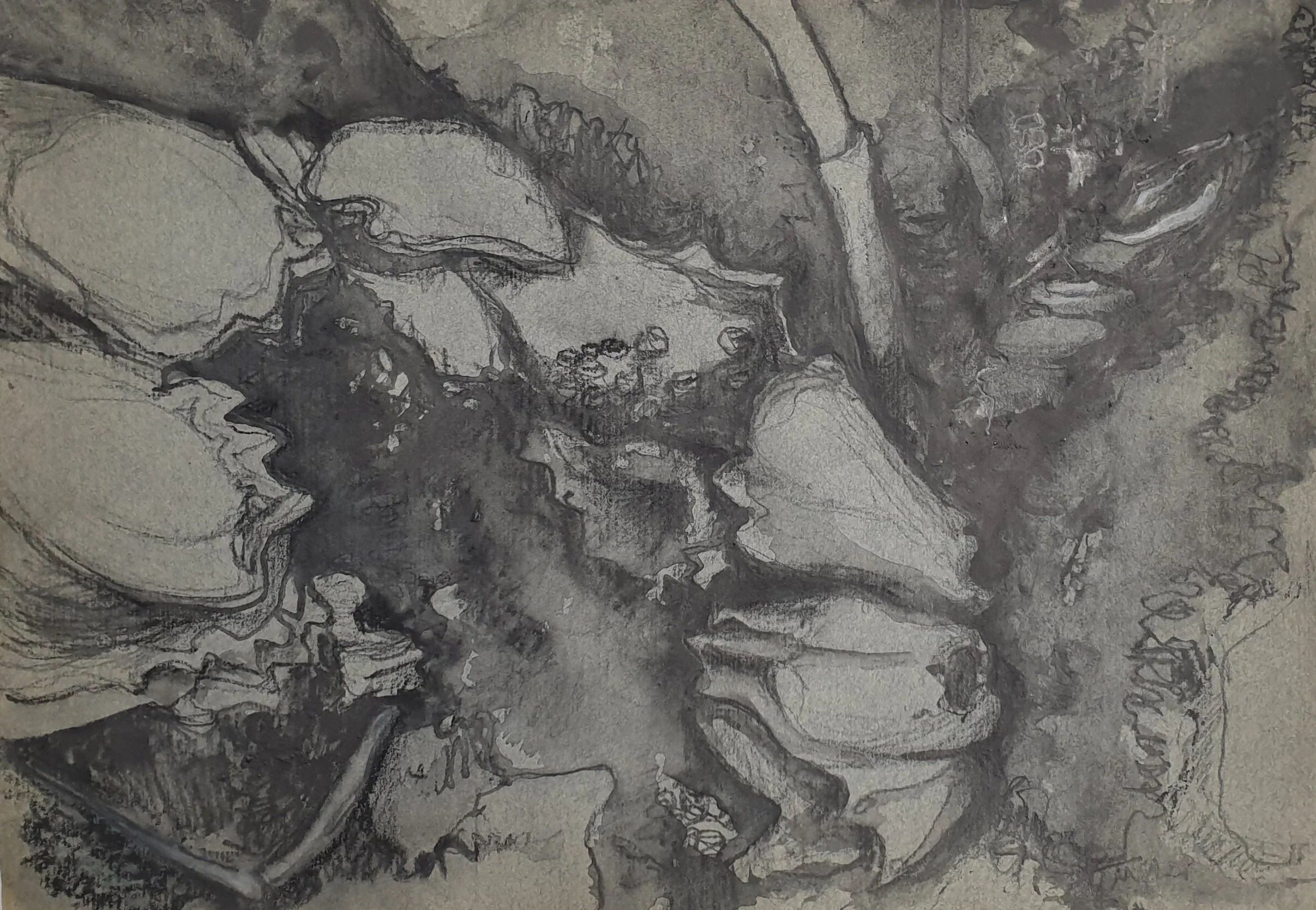 Aquatilibus Griseo V | gemengde techniek op eertijds Ingres papier | 2024 | 35x25 cm